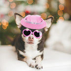 Cute puppy wearing pink choyaxo sun hat and UV protection goggles
