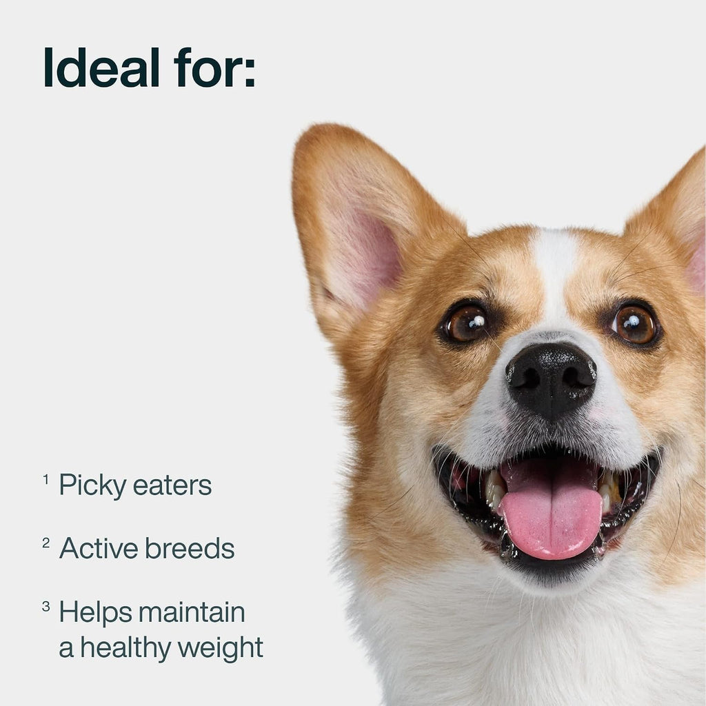 JustFoodForDogs fresh pet meals resealable packaging close up showcasing human grade label.