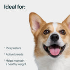 JustFoodForDogs fresh pet meals resealable packaging close up showcasing human grade label.