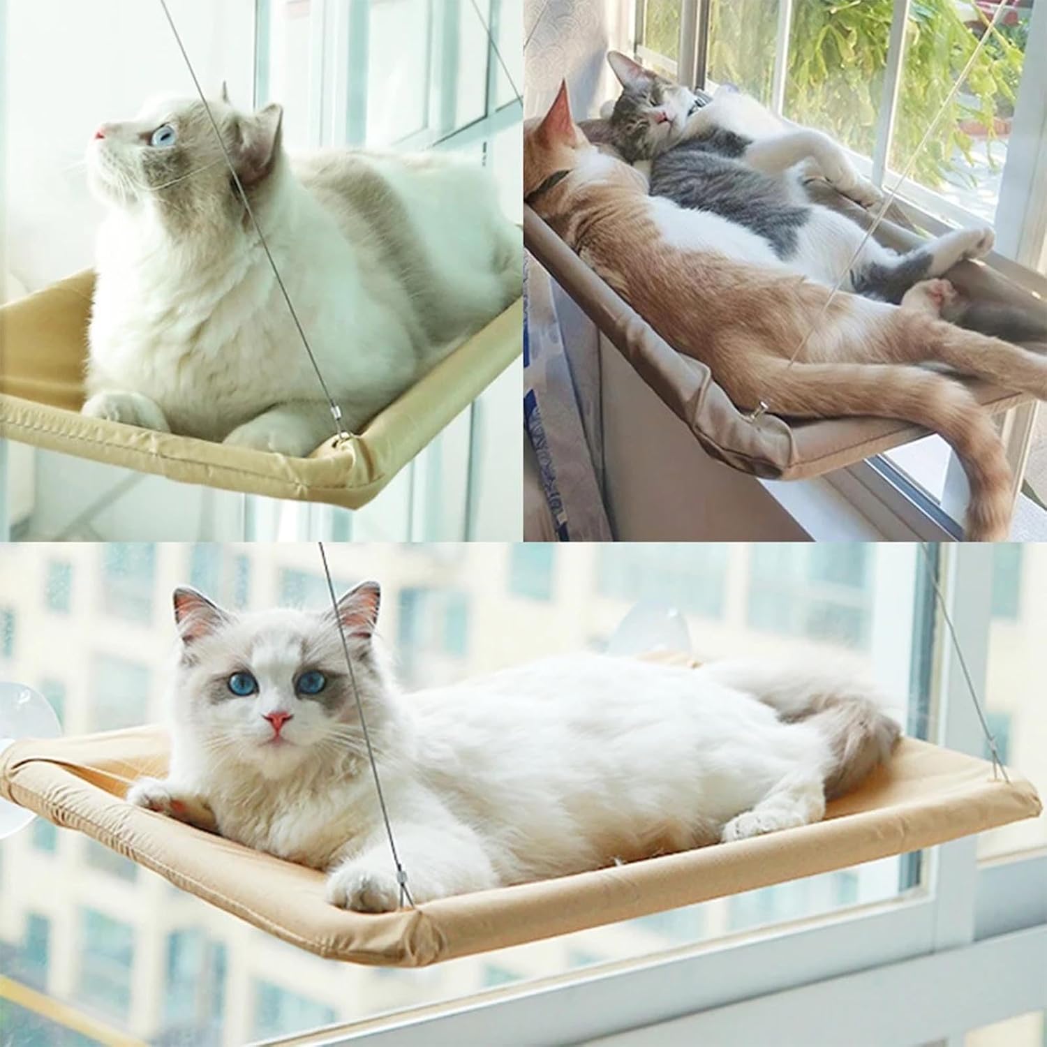 JinRui-T cat safety sunny bed showcasing the full installation components including four suction cups.