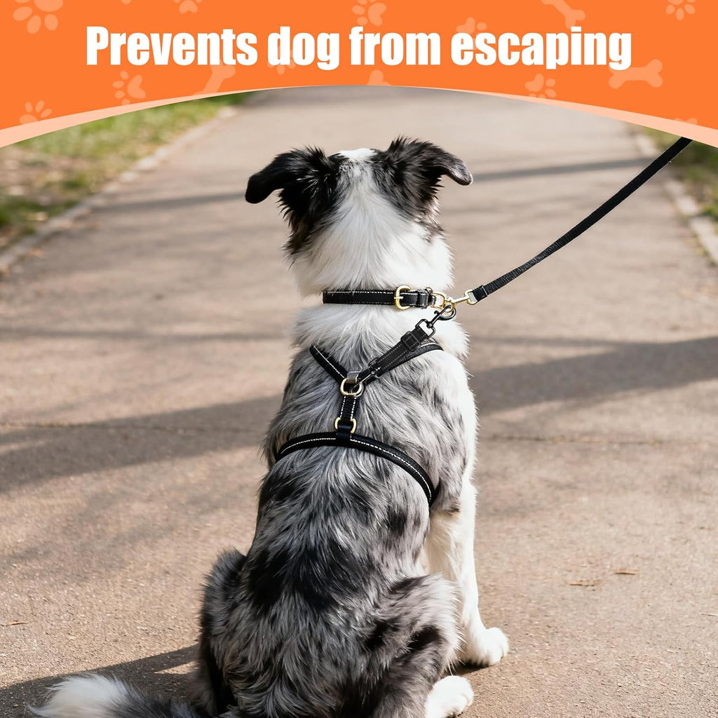 Woinxenn escape prevention gear attached to a large dog training harness