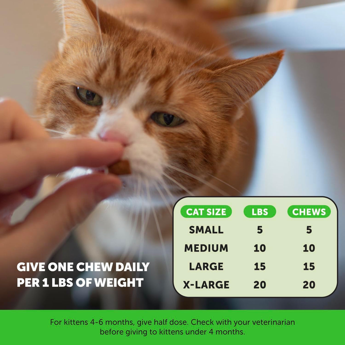 Pet Honesty cat supplement ingredient highlights infographic