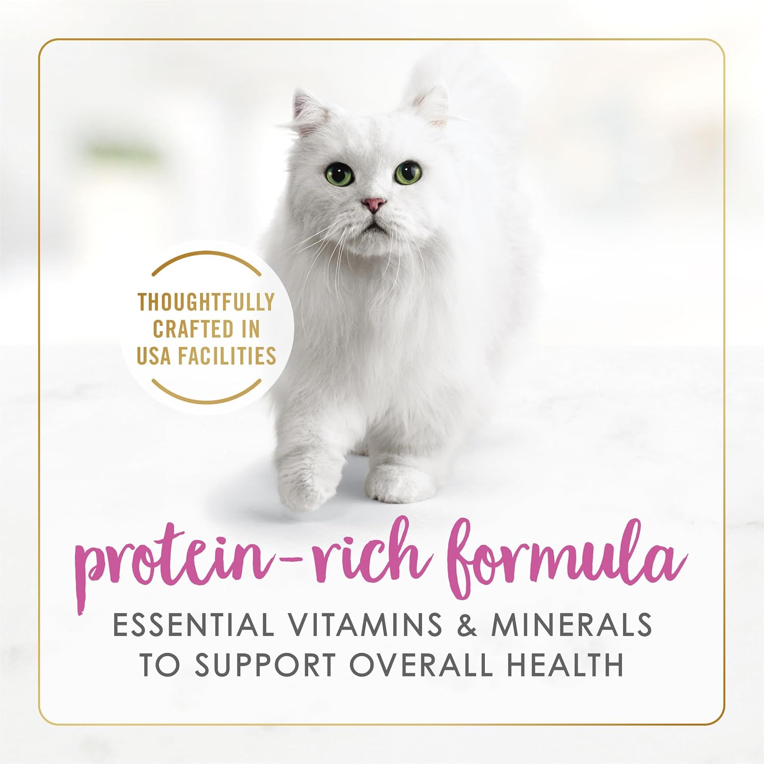 Purina Fancy Feast Gravy Lovers Chicken Pate texture in gravy