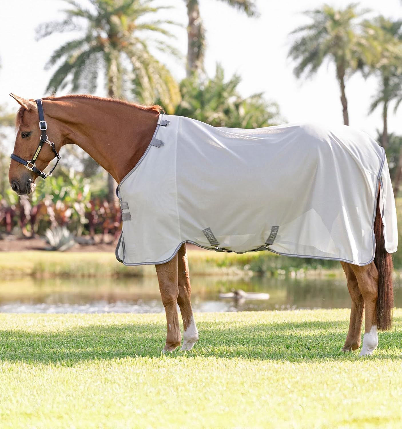 Horseware Amigo Bug Rug side view on horse displaying front leg arches and cross surcingles
