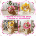 Eco friendly flexible felt elizabethan collar pack for small animal care