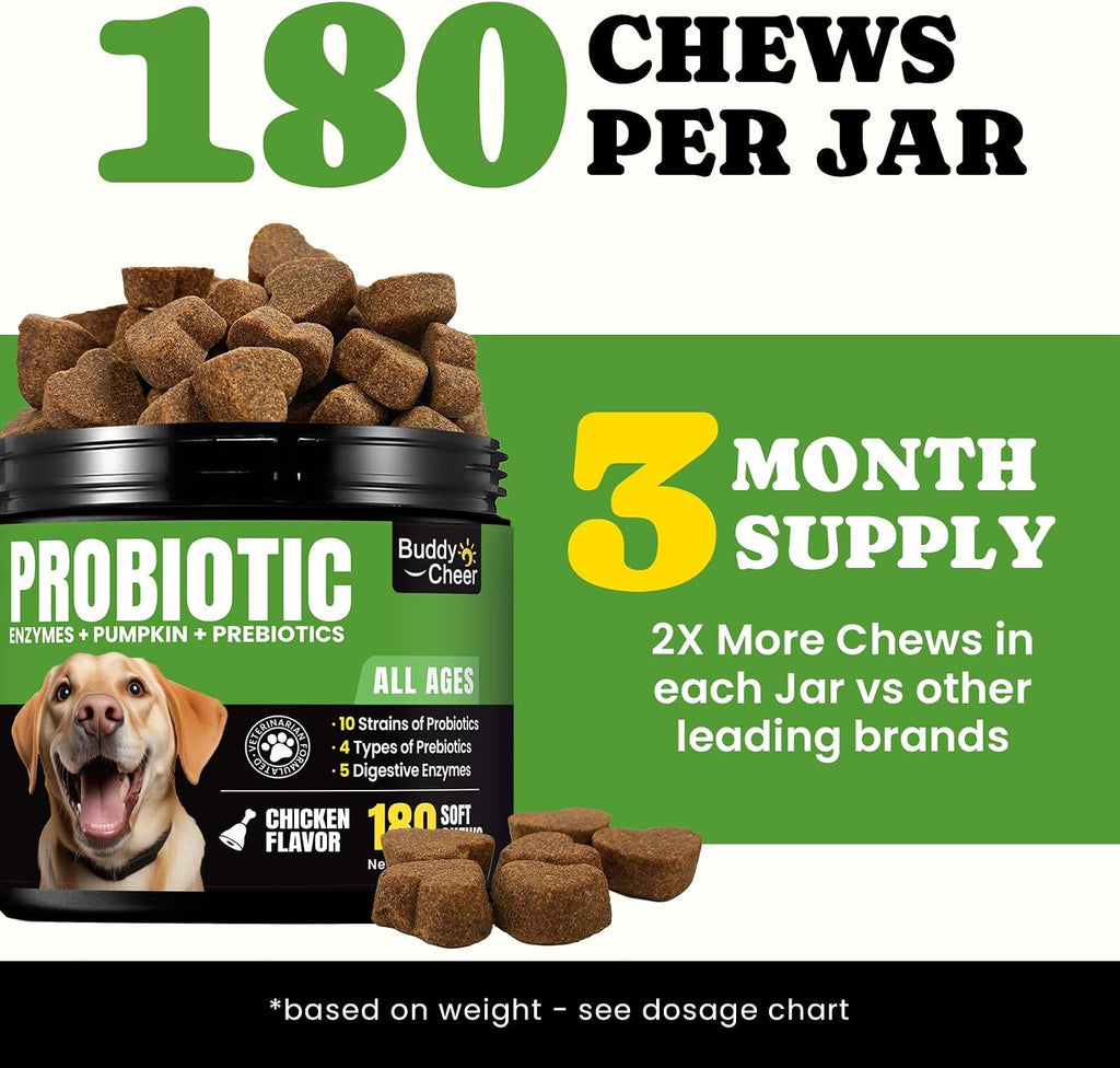 Premium natural pumpkin and probiotic chews for fresher breath