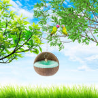 2 Pack Natural Coconut Shell Bird Nest with Pads for Small Parrots - Image 5