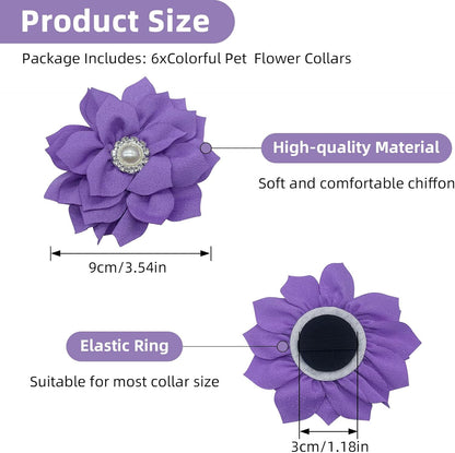 Six pack dog collar flower attachments illustrating the durable elastic slide on backing