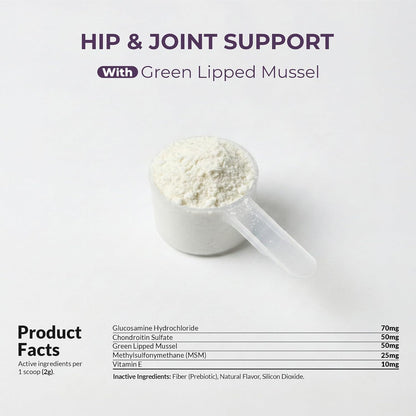 Cat eating wet food mixed with joint powder