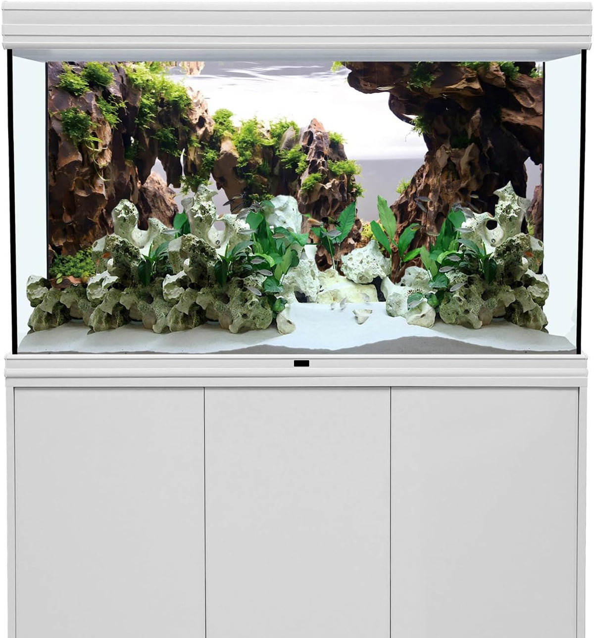 Detailed dragon stone pattern on the premium vinyl aquarium backdrop
