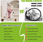 Cat wearing abdominal wound protection pajama with back closure
