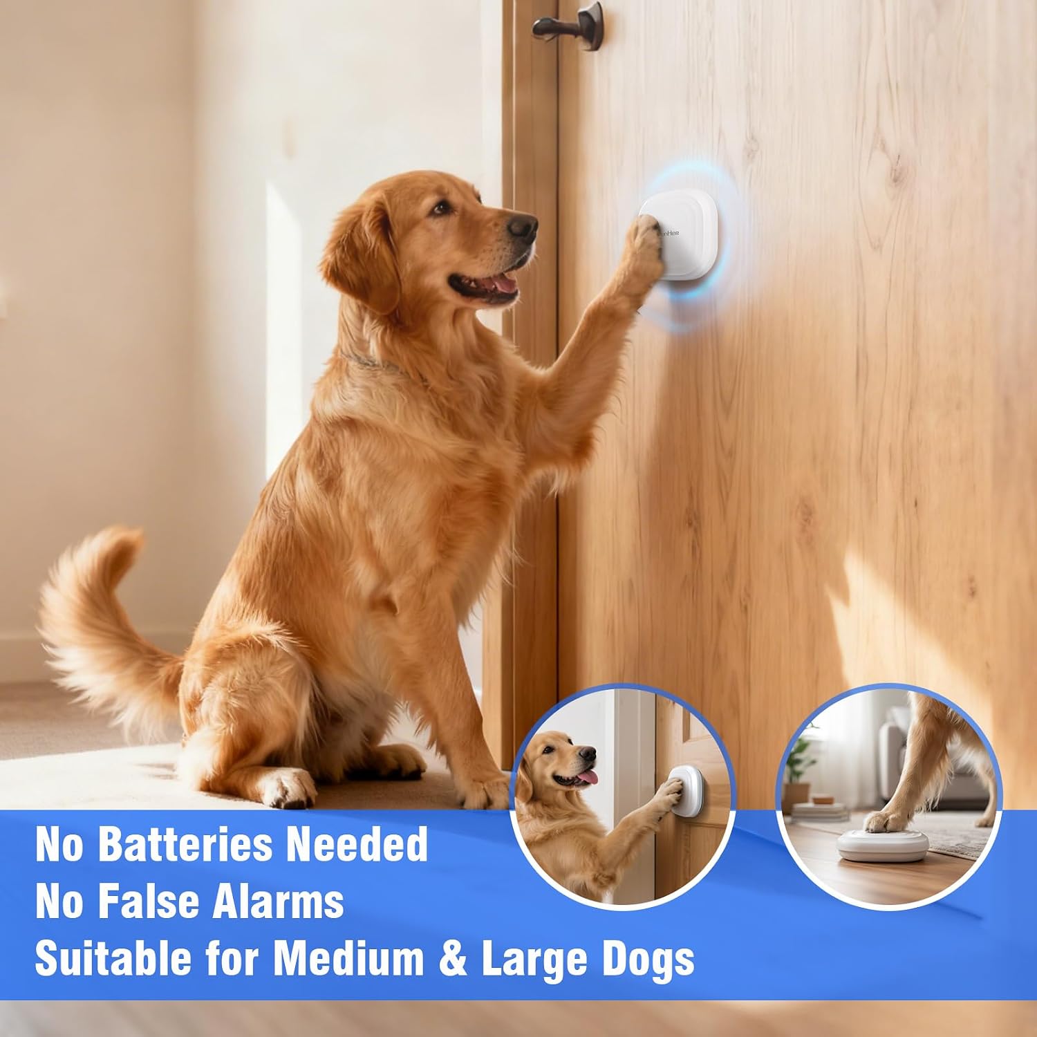 Close up of self-powered dog training bell button