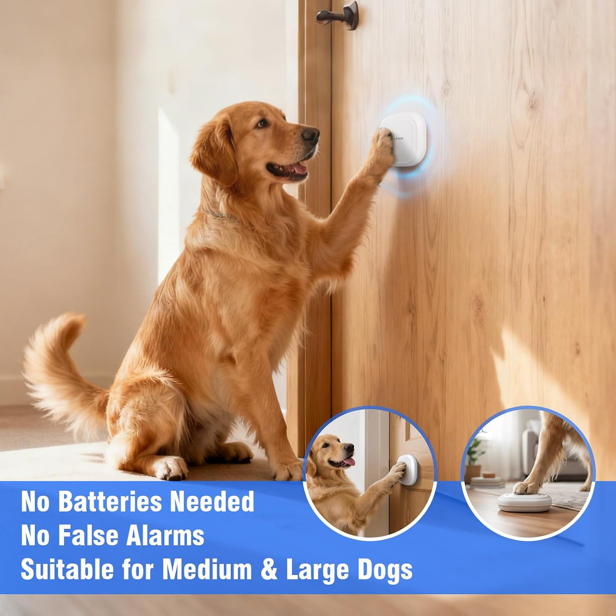 Close up of self-powered dog training bell button