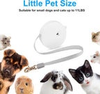 Small dog and cat leash 6.5 feet nylon tape