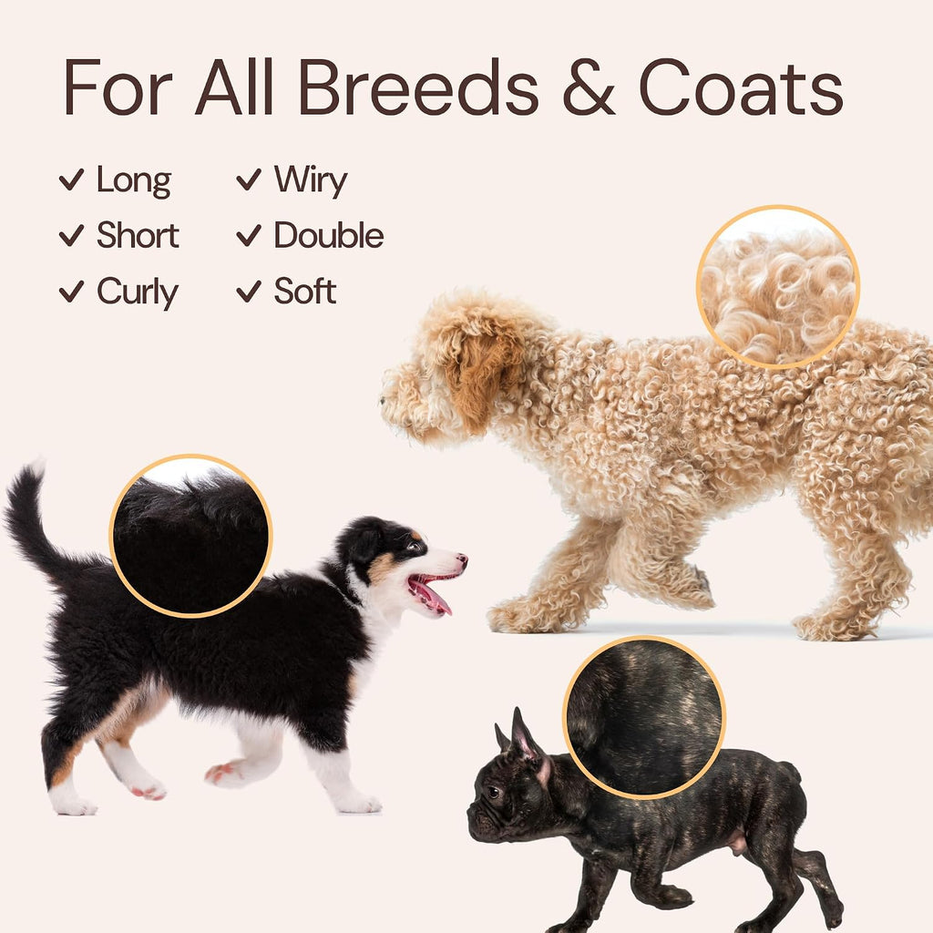 Premium pet care bundle containing moisturizing dog wash and twelve hour wear spray