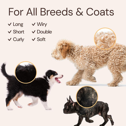 Premium pet care bundle containing moisturizing dog wash and twelve hour wear spray