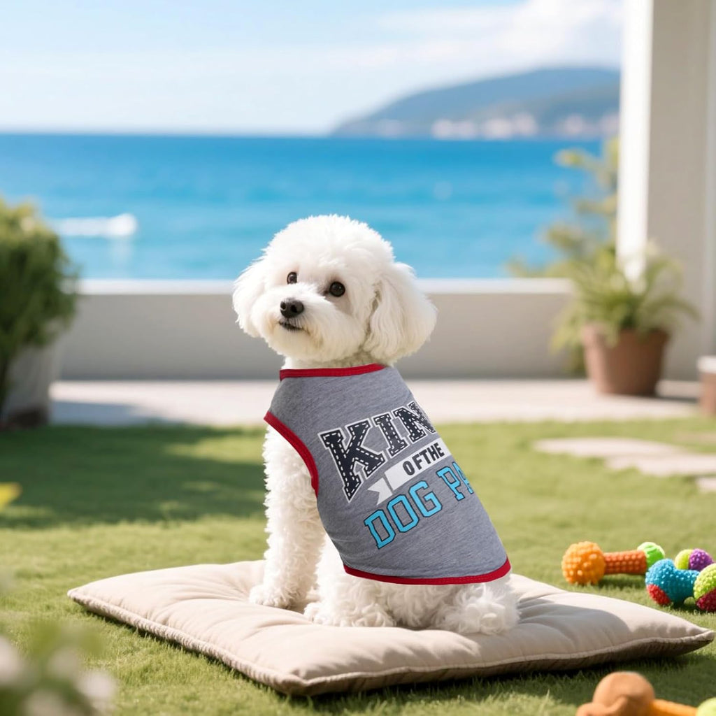 Colorful comfortable pet outfits for puppy summer heatwave protection