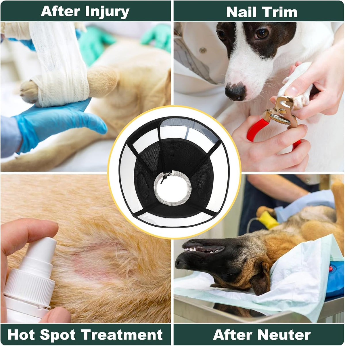 Reomore anti-bite recovery collar for neutered pets