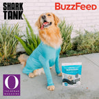 Shed Defender eco friendly fabric bodysuit for large dog breeds.