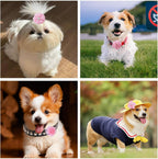 Lightweight non toxic chiffon flower charms for puppy and kitten collar embellishment