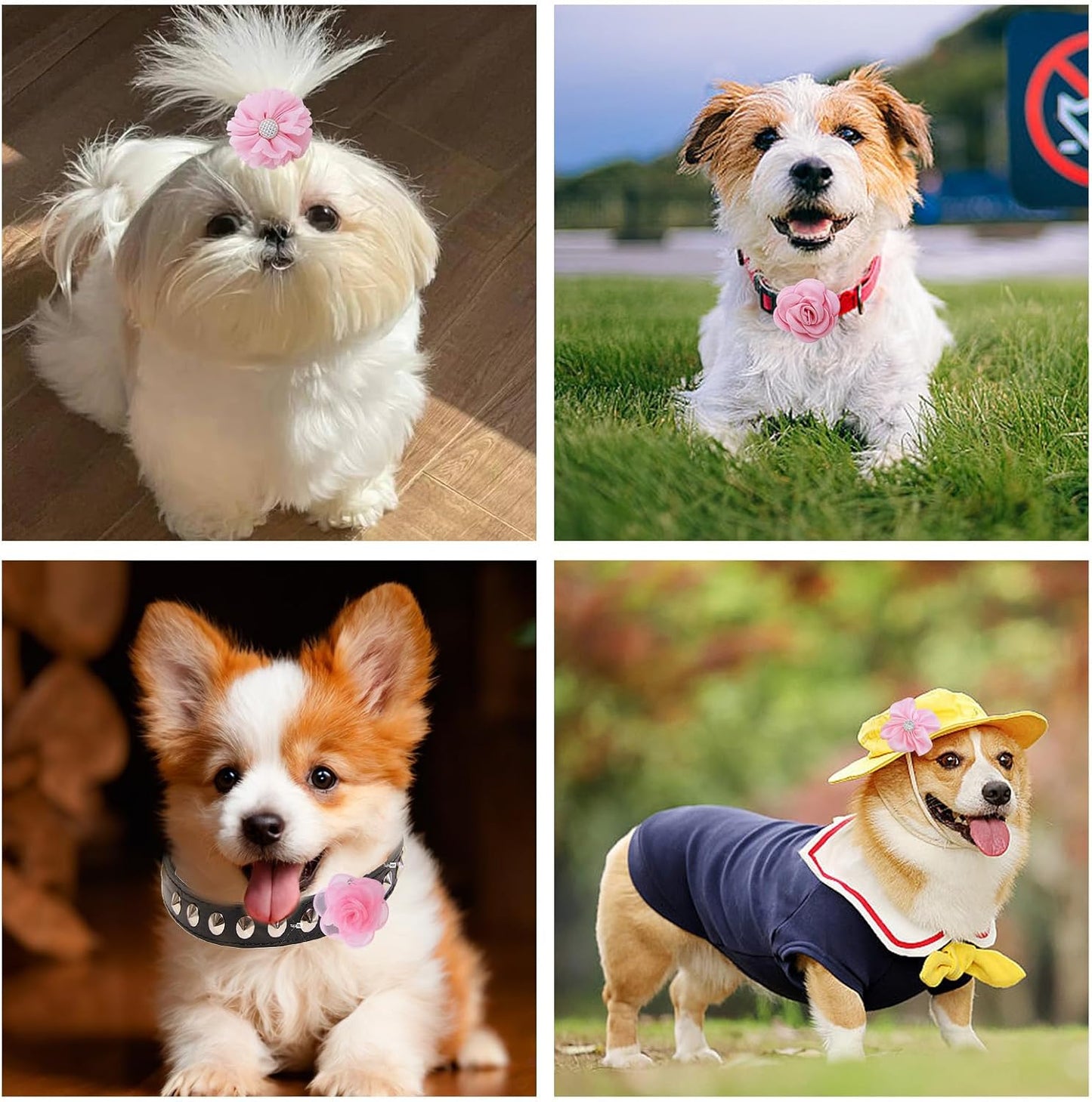 Lightweight non toxic chiffon flower charms for puppy and kitten collar embellishment