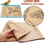 Example of Ruenxg bird cage paper placed inside a parrot cage