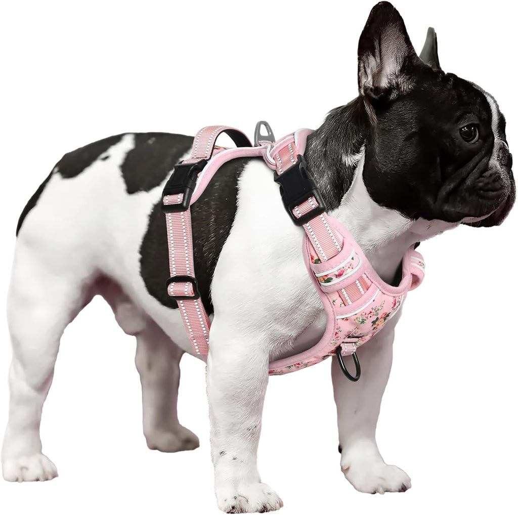 Timos pink harness showing double leash attachment points