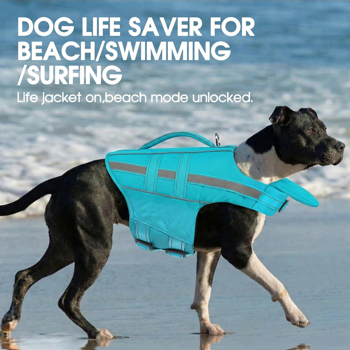 KAMA BRIDAL waterproof nylon pet safety swimsuit back view with leash D ring