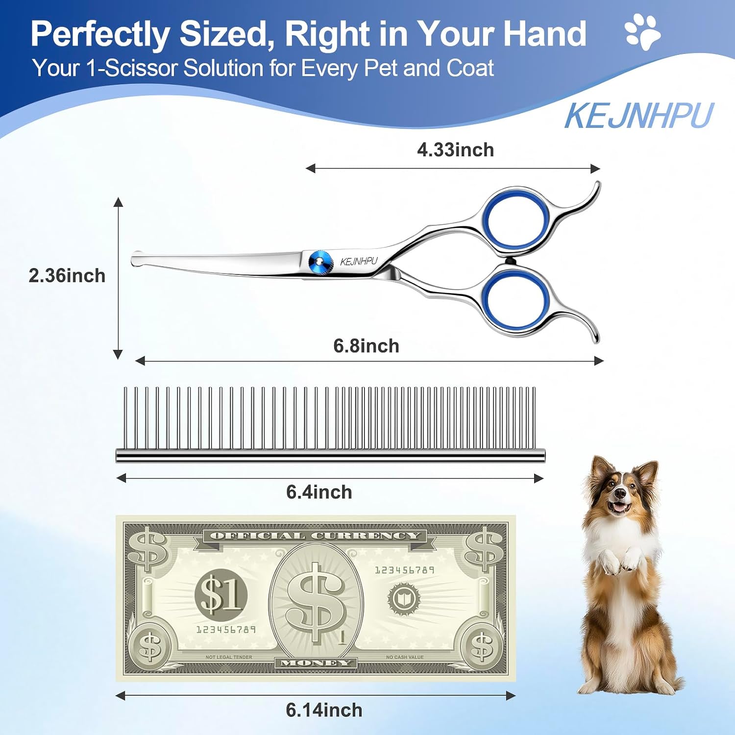 Close up of 6.8 inch curved pet shears highlighting the blunt safety round tips