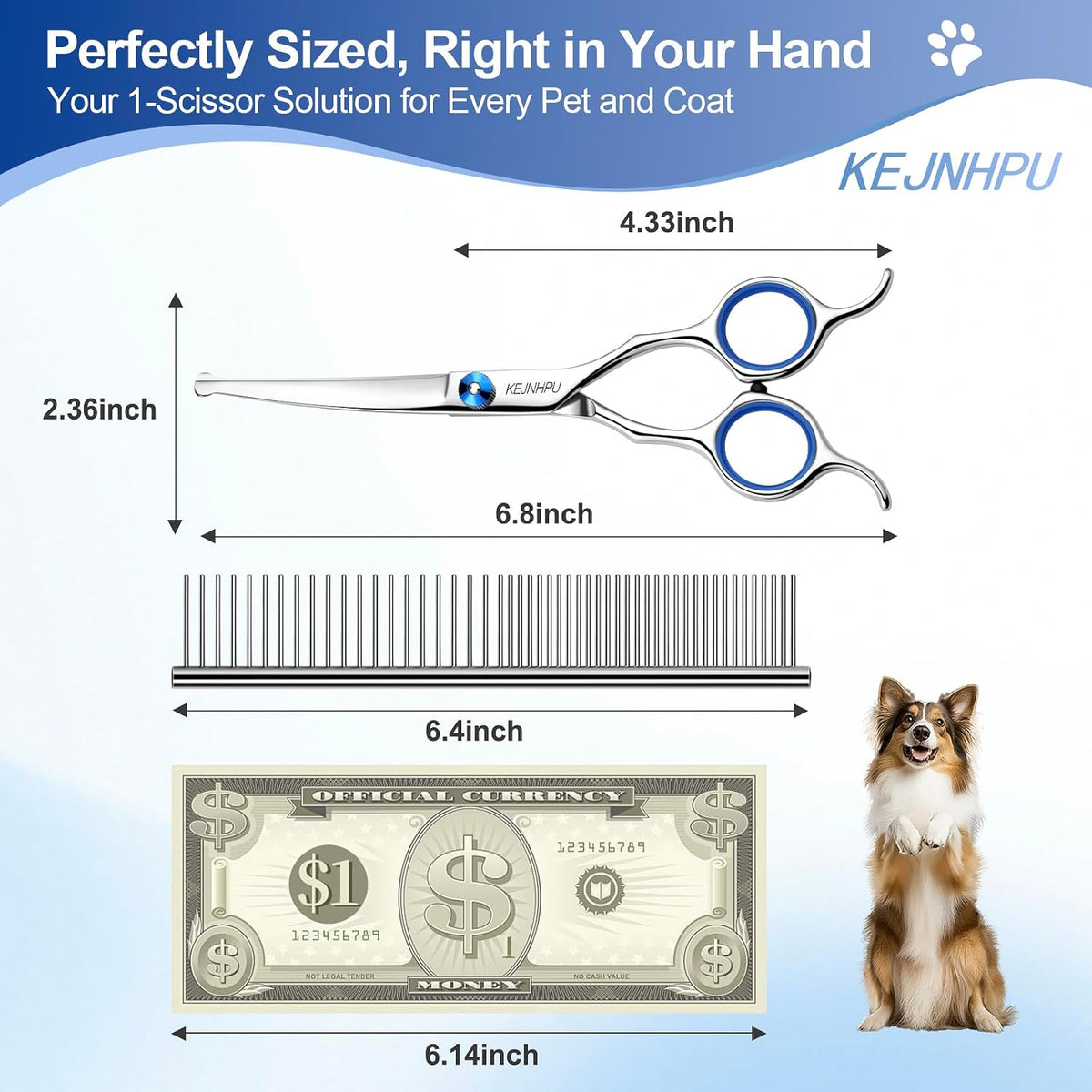Close up of 6.8 inch curved pet shears highlighting the blunt safety round tips