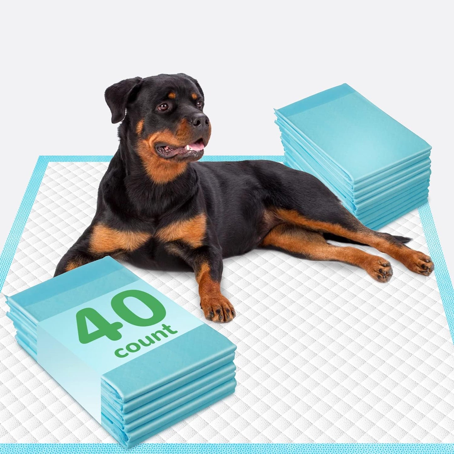 DEEP DEAR Extra Large Dog Pads 30"x26" (40 Count), Thicker Pet Training and Puppy Pads, Super Absorbent Pee Pads for Dogs, Leakproof Dog Potty Training Pads for Puppies, Cats, Rabbits, Pet Pee Pads XL - Image 9