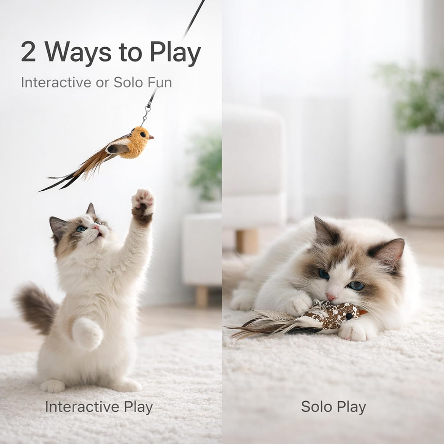 Eleven piece colorful feather bird toy set showing varied textures and nature-inspired patterns.
