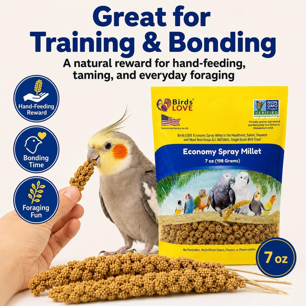 Birds LOVE Economy Spray Millet for Birds, 7 oz, GMO-Free Natural Millet Spray Treat, Stem-Reduced Edible Tops, Grown in USA, for Parakeets, Cockatiels, Lovebirds, Finches, Canaries & Small Parrots - Image 9