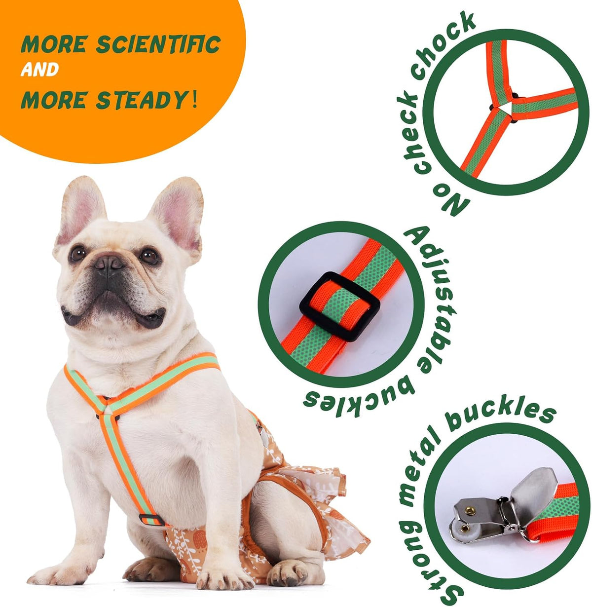 Hisprout pet diaper keeper with adjustable metal buckles and reflective bands
