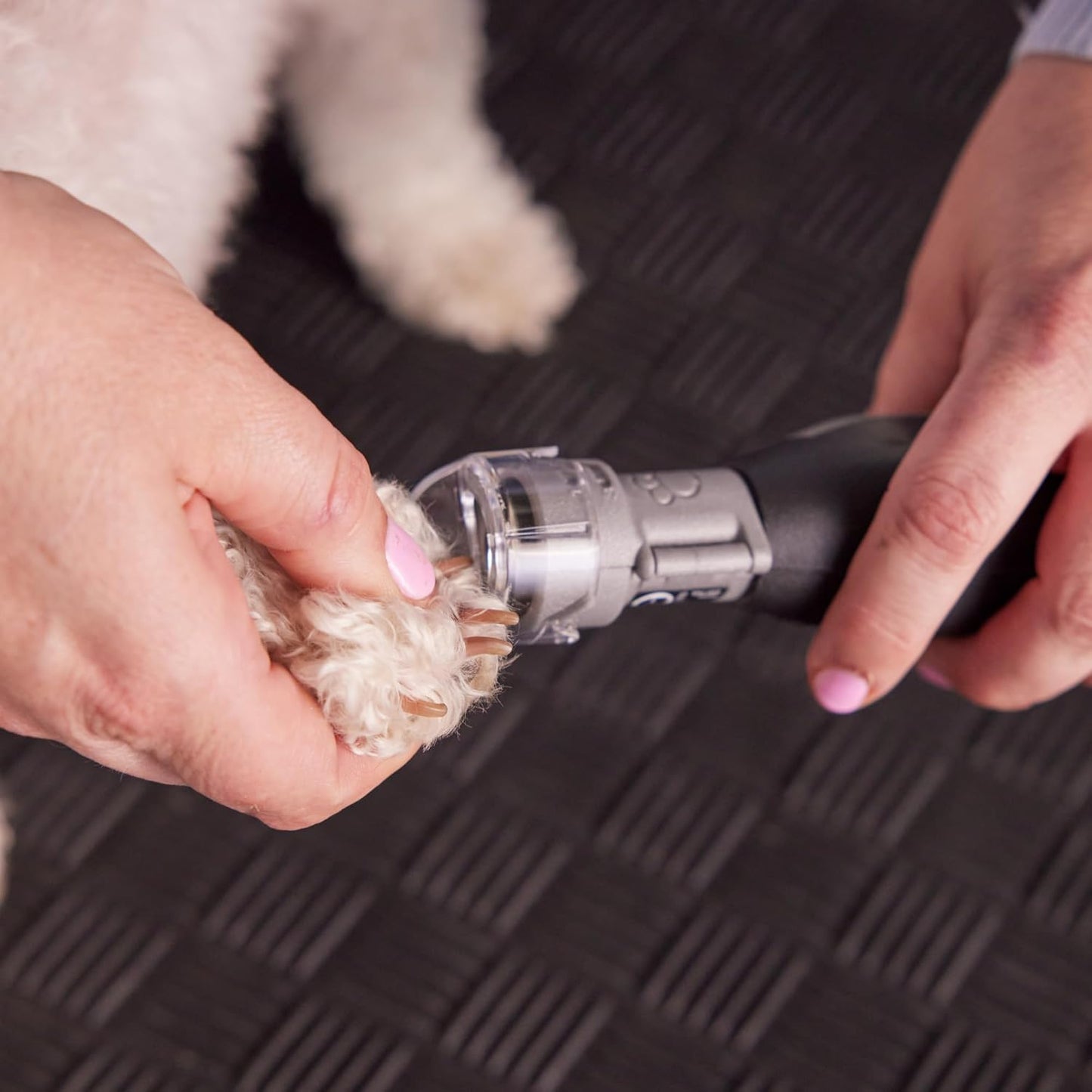 Dremel rotary tool with pet grooming accessory attached