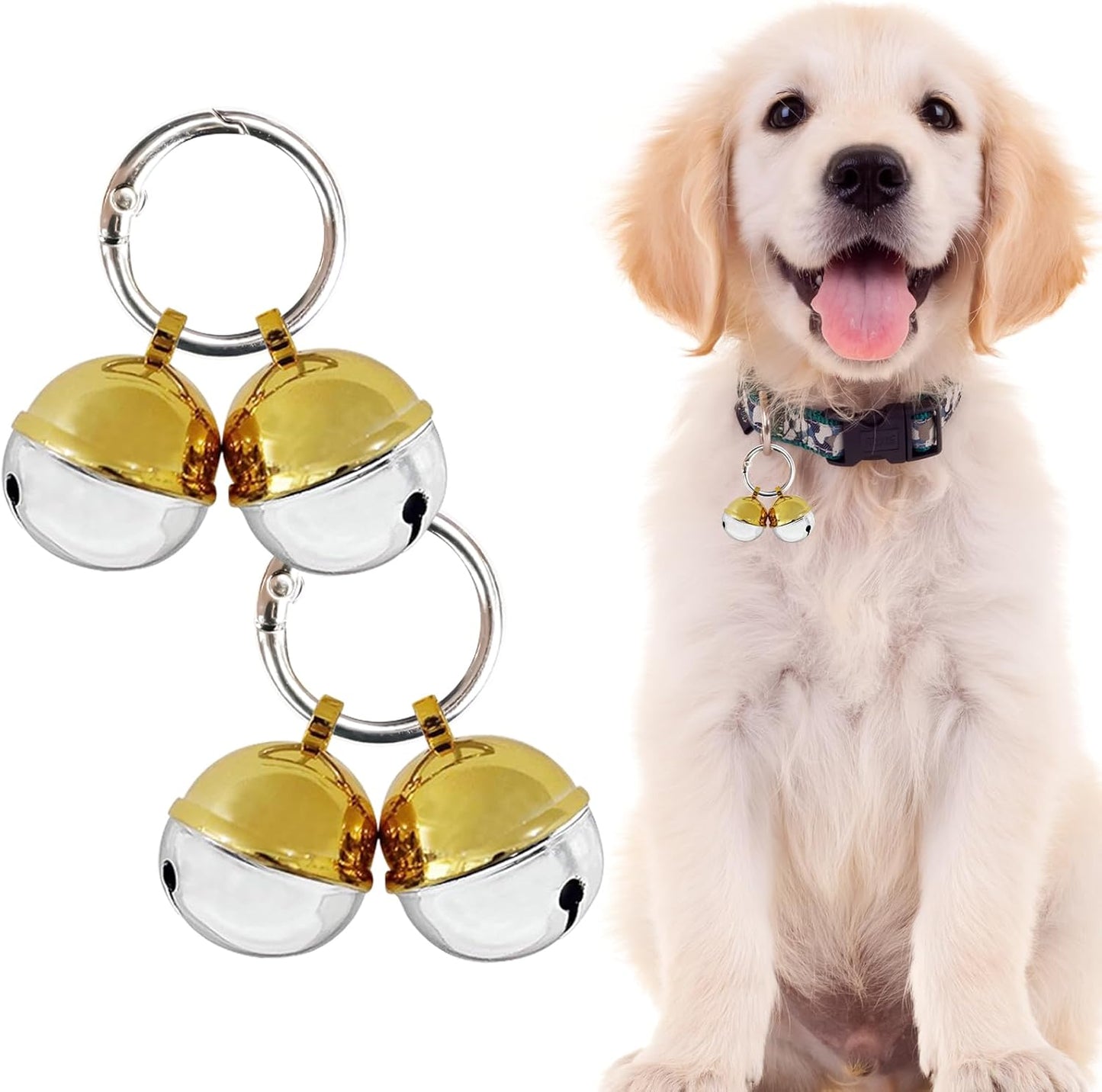 Medium sized dog wearing the Whimsii protective wildlife warning bell charm outdoors