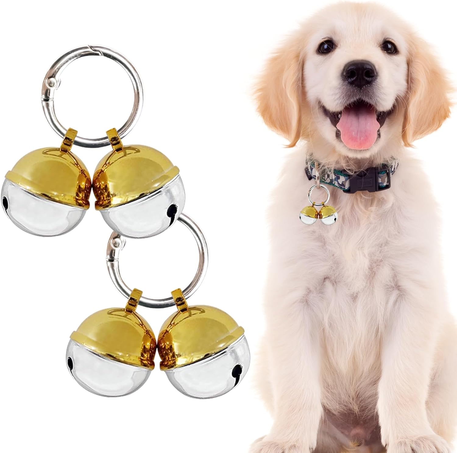 Medium sized dog wearing the Whimsii protective wildlife warning bell charm outdoors