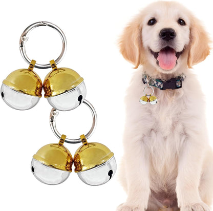Medium sized dog wearing the Whimsii protective wildlife warning bell charm outdoors