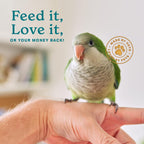 Instructions for using The Missing Link Avian powder on bird seeds