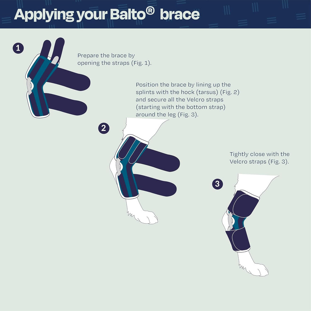Balto Feline Hock Brace side view on cat leg for joint stability