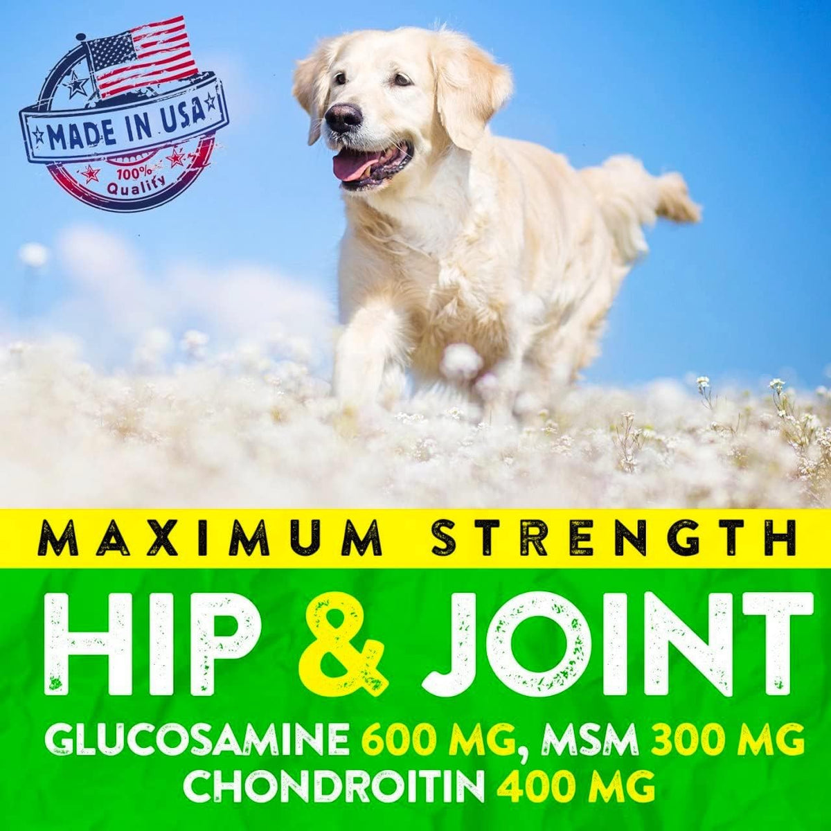 Furaland advanced care health hemp oil and MSM formula for pet stiffness