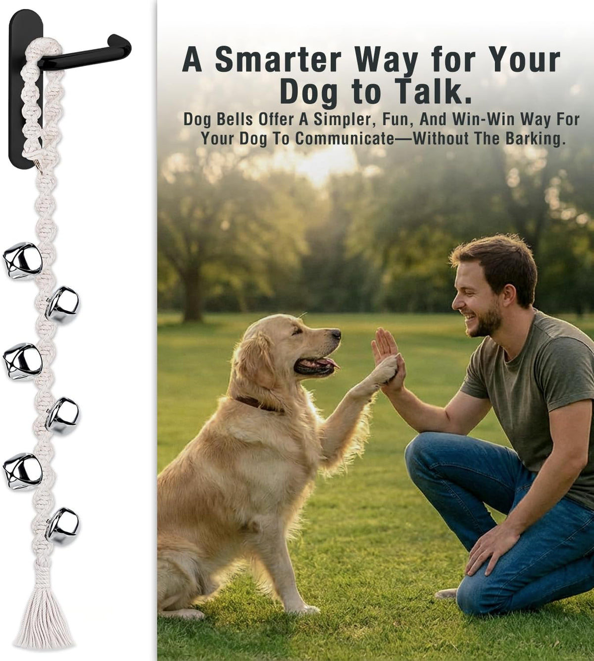 Close up of silver stainless steel dog training bells
