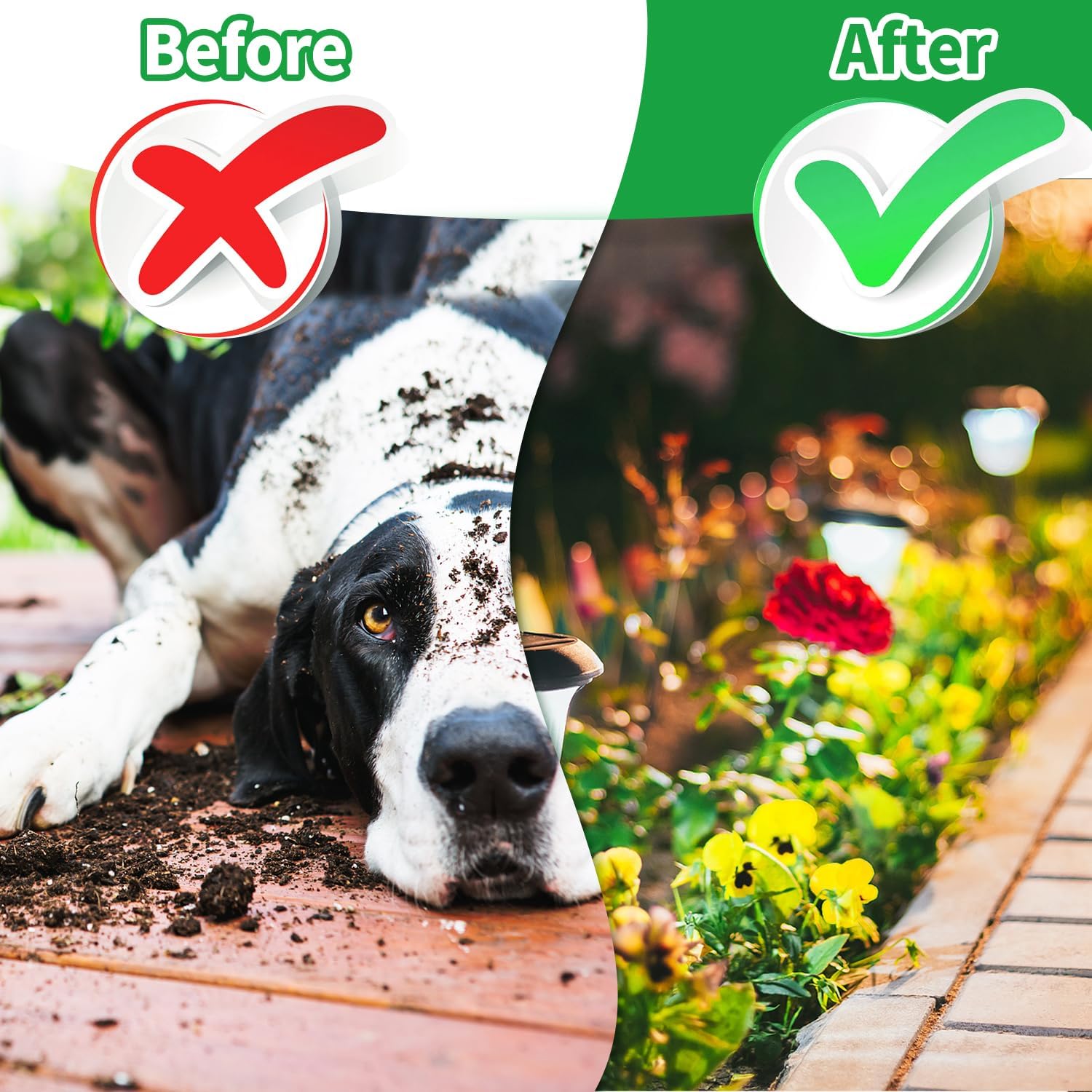 Natural plant-based dog deterrent ingredients visual