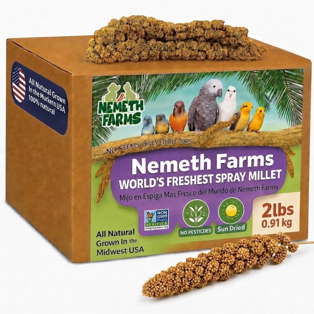 Nemeth Farms Spray Millet - Edible Tops Only, Non-GMO and Sun-Dried - 1 lb for Parakeets, Canaries and Finches - Image 9