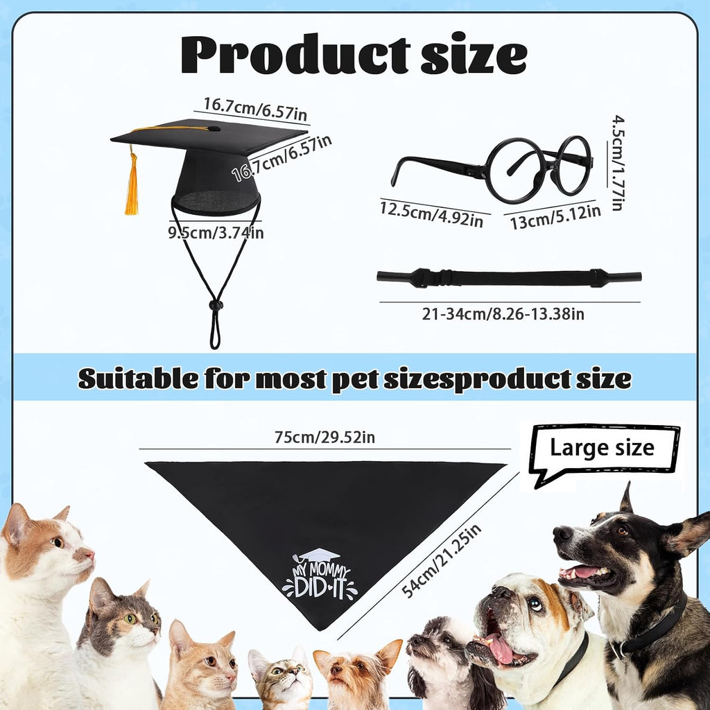Small cat wearing the black mortarboard graduation hat side view