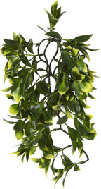 Exo Terra reptile habitat plant packaging