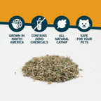 Side profile of the two point two five ounce catnip container