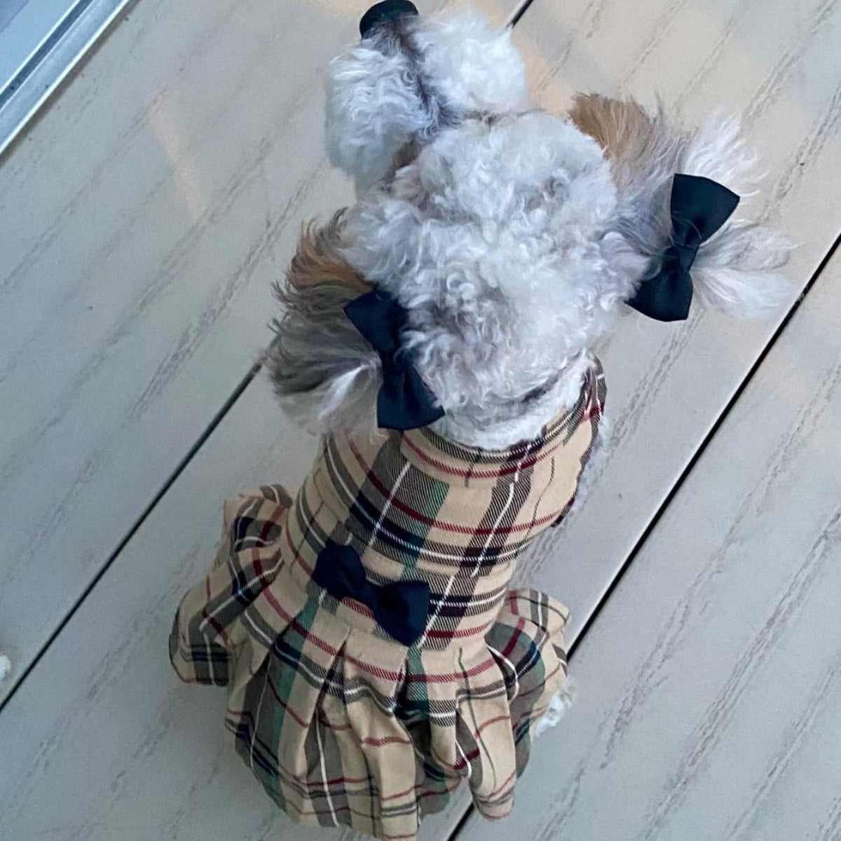 PUPTECK designer pet outfit side view demonstrating the professional solid cutting layout.