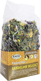 Dried flower and dandelion green blend texture close up