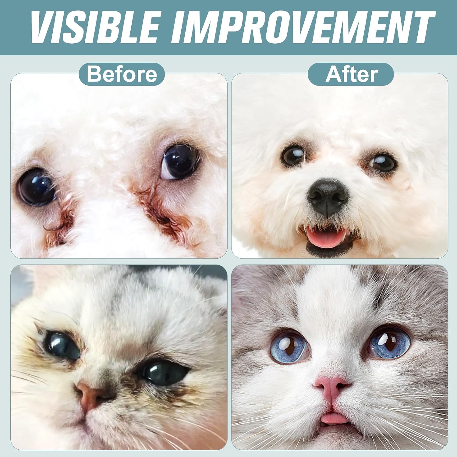 PetSilver gentle eye drops cleaning discharge from a puppy's irritated eyes